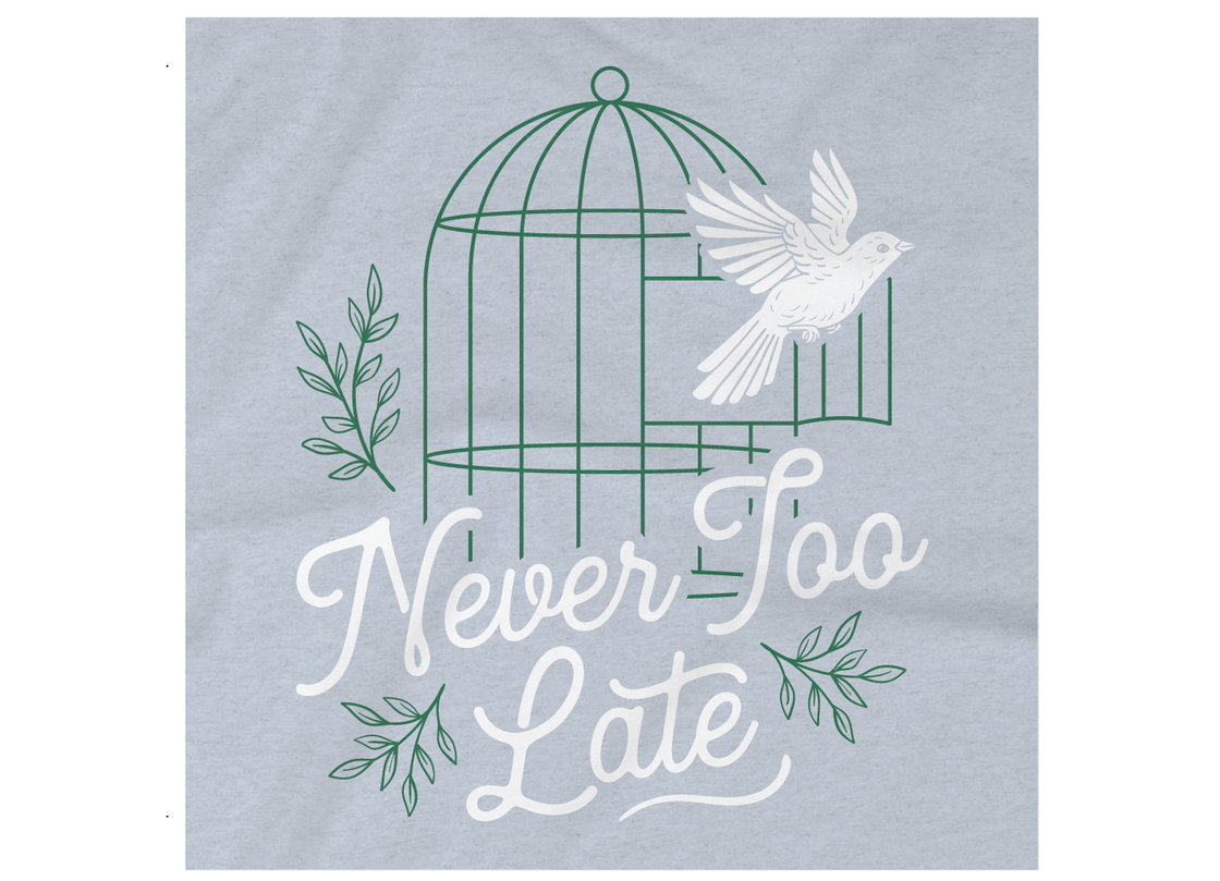 Bird Cage ladies' short sleeve t-shirt (heather blue)